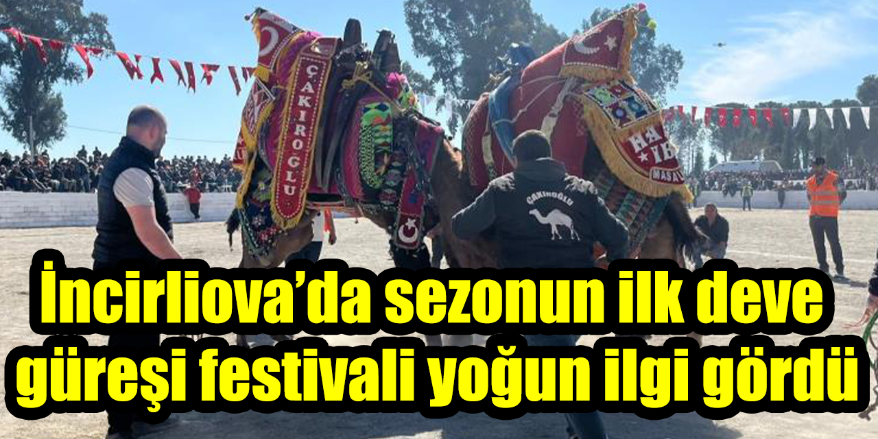 İncirliova’da sezonun ilk deve güreşi festivali yoğun ilgi gördü