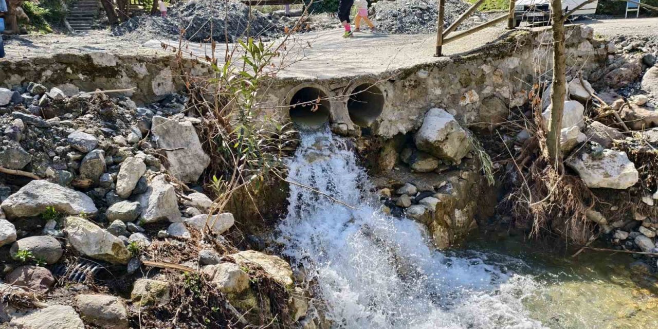 Mesir Tabiat Parkı’na ziyaretçi akını