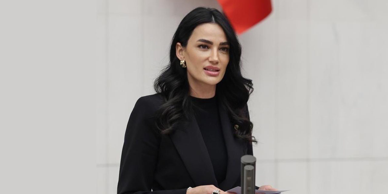 AK Parti Aydın Milletvekili Seda Sarıbaş’ın ilginç geçmişi ortaya çıktı