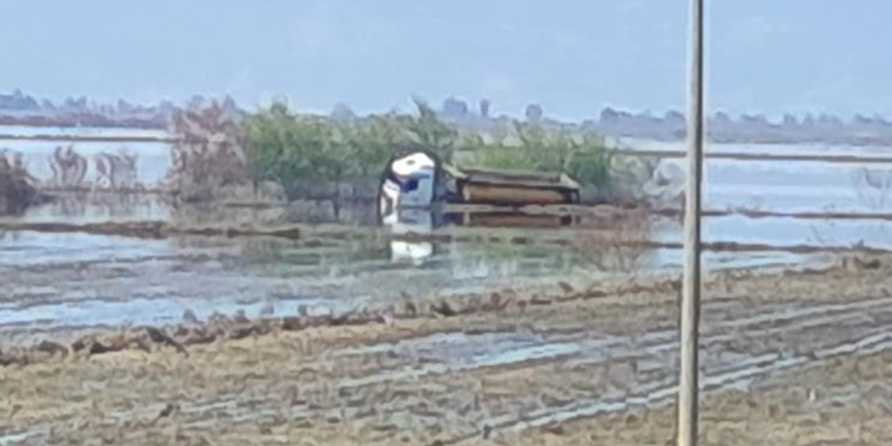 Taşkın sularında mahsur kalan tır sürücüsü kurtarıldı