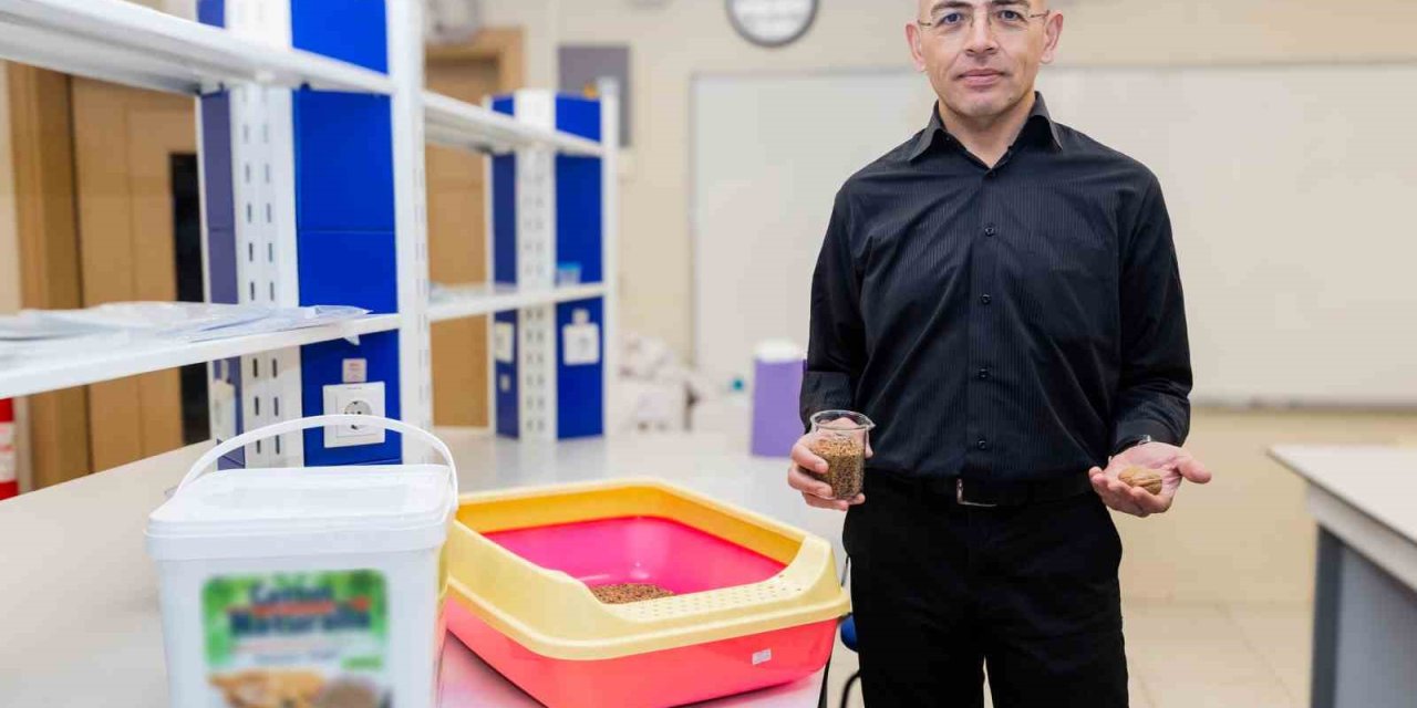 Ceviz kabuğundan kedi kumu üretti