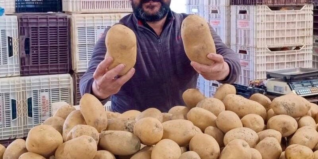 Dev patatesler pazarın ilgi odağı oldu