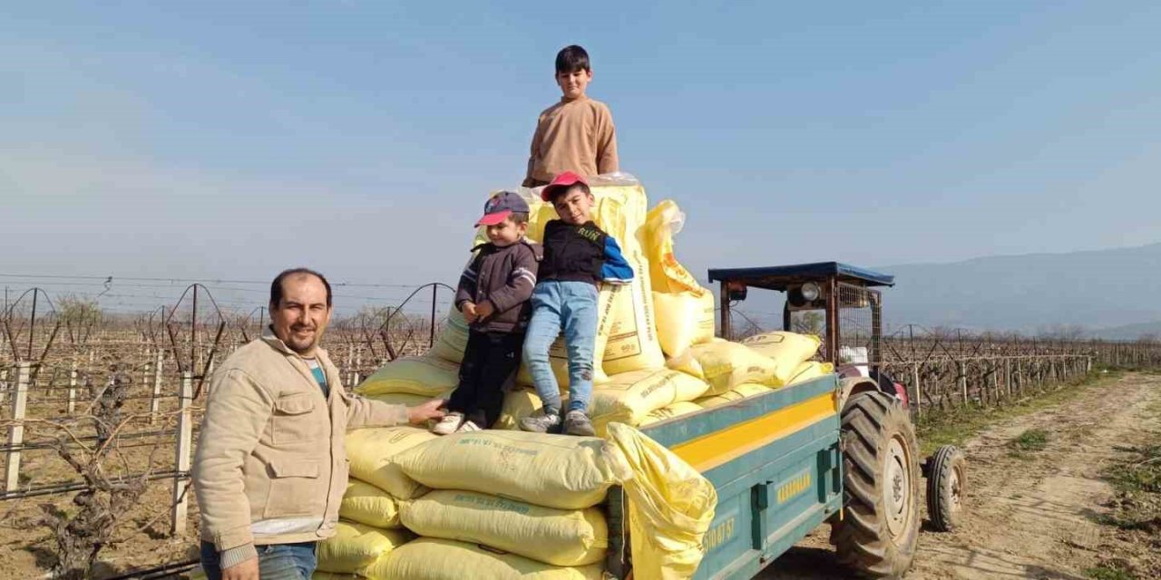 Sarıgöl bağlarında gübreleme çalışmaları başladı