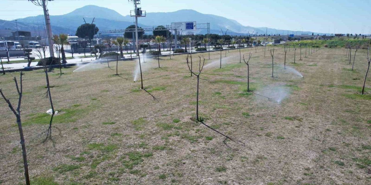 Manisa’da yeşil alanlarda akıllı sulama dönemi başladı