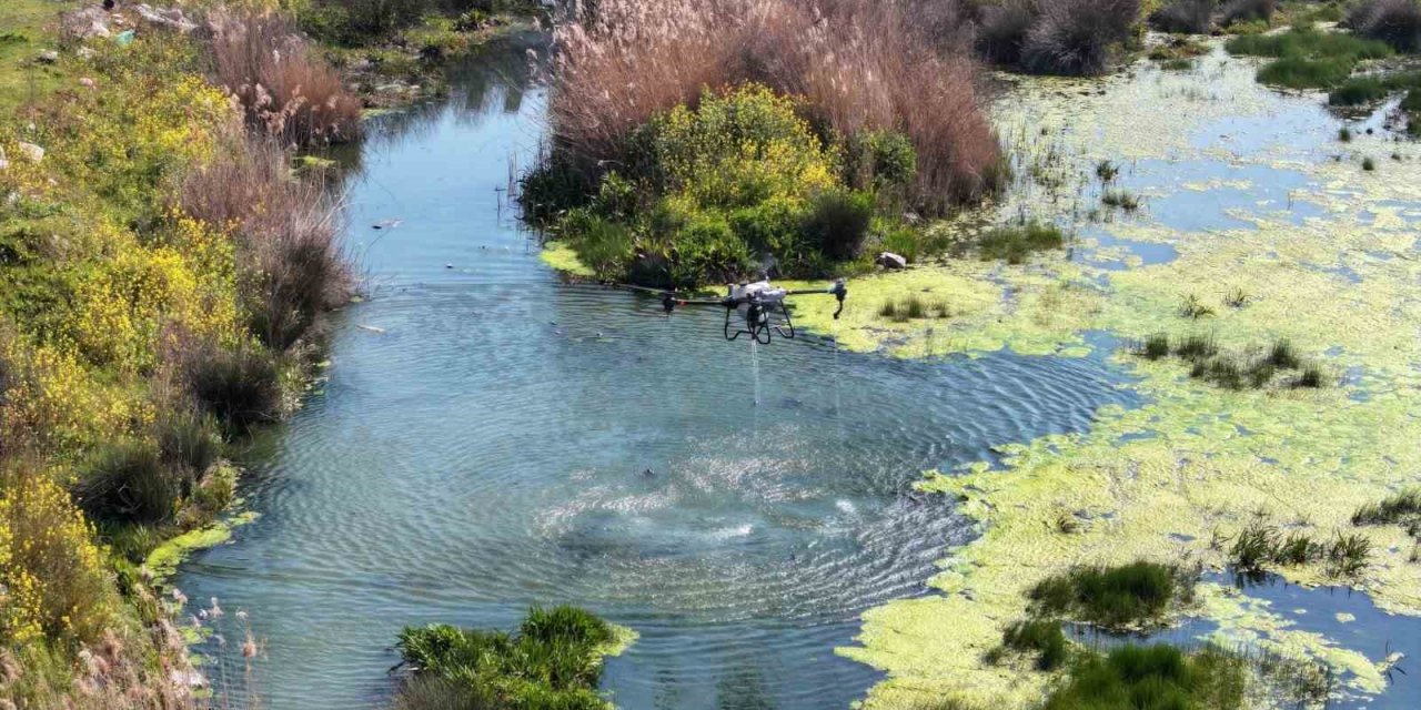 Manisa’da sivrisinek alarmı
