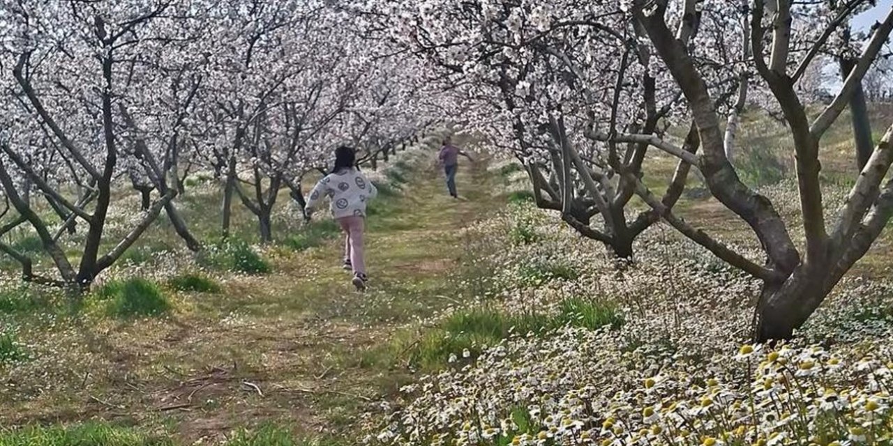 Sarıgöl’de kartpostallık manzara