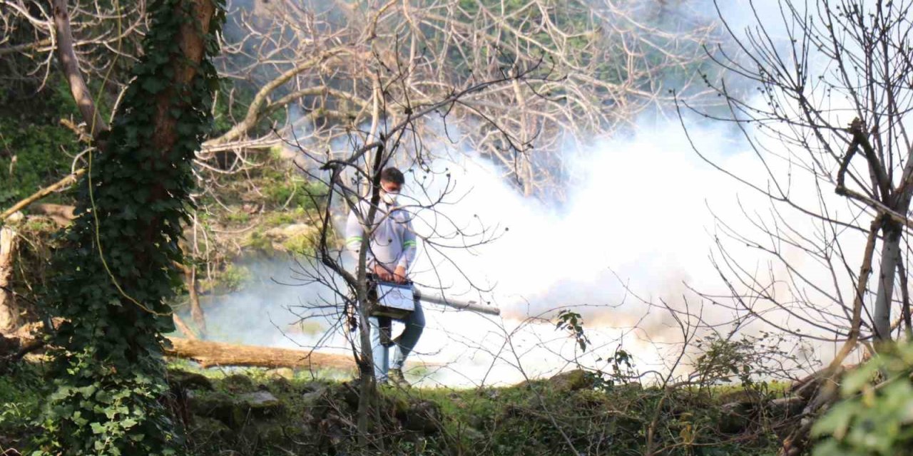 Bozdoğan Belediyesi ilaçlama çalışmalarını aralıksız sürdürüyor