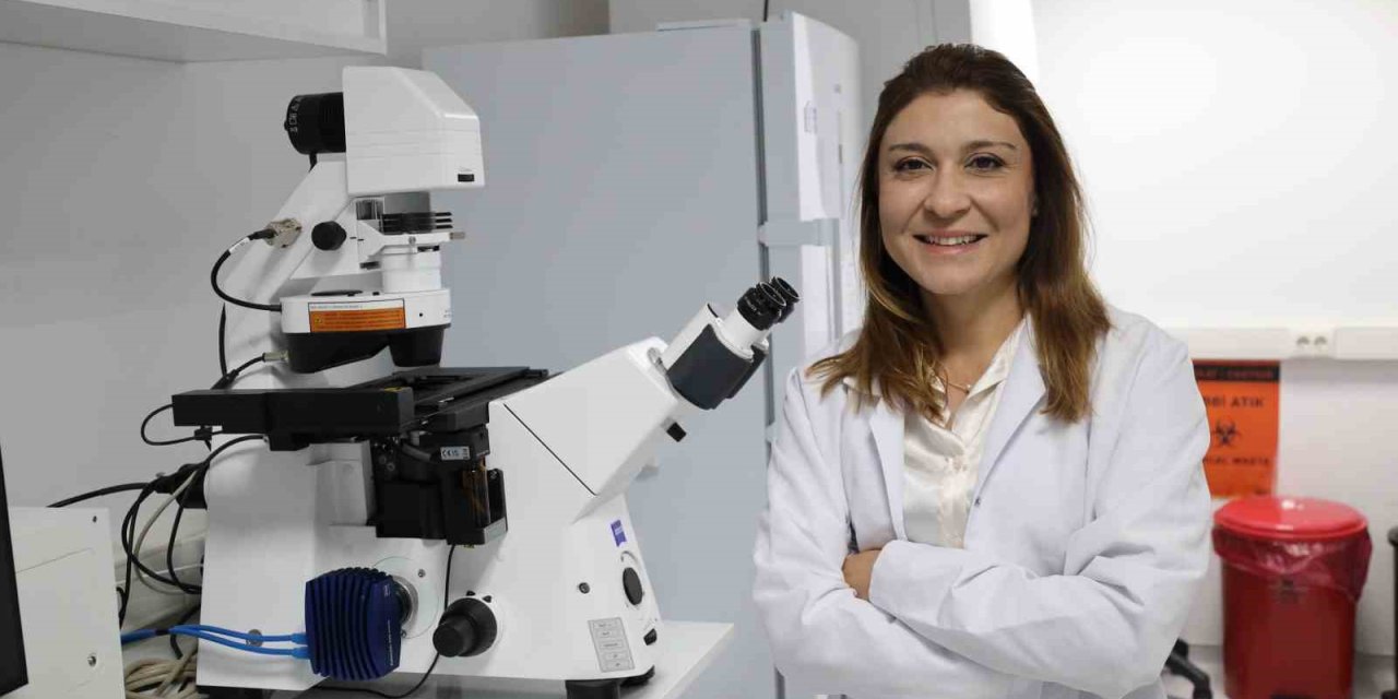 Kemik erimesinin tedavisinde uluslararası iş birliği