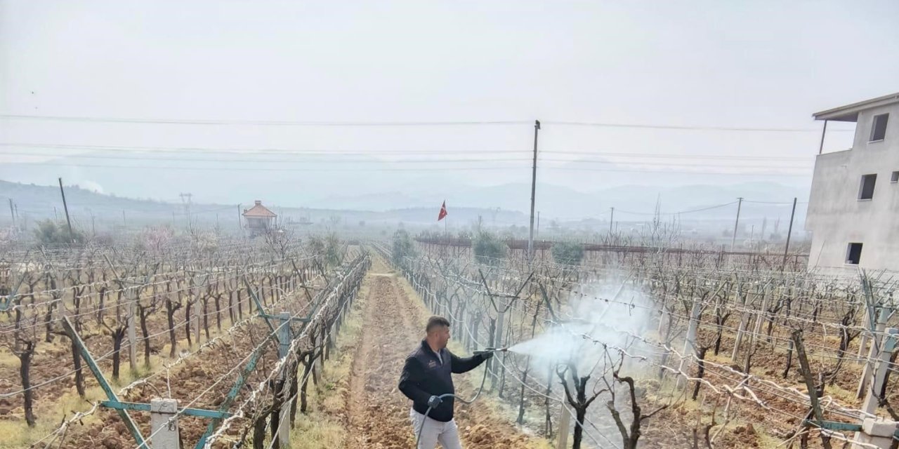 Bağlarda çiçek öncesi ilaçlama programı açıklandı