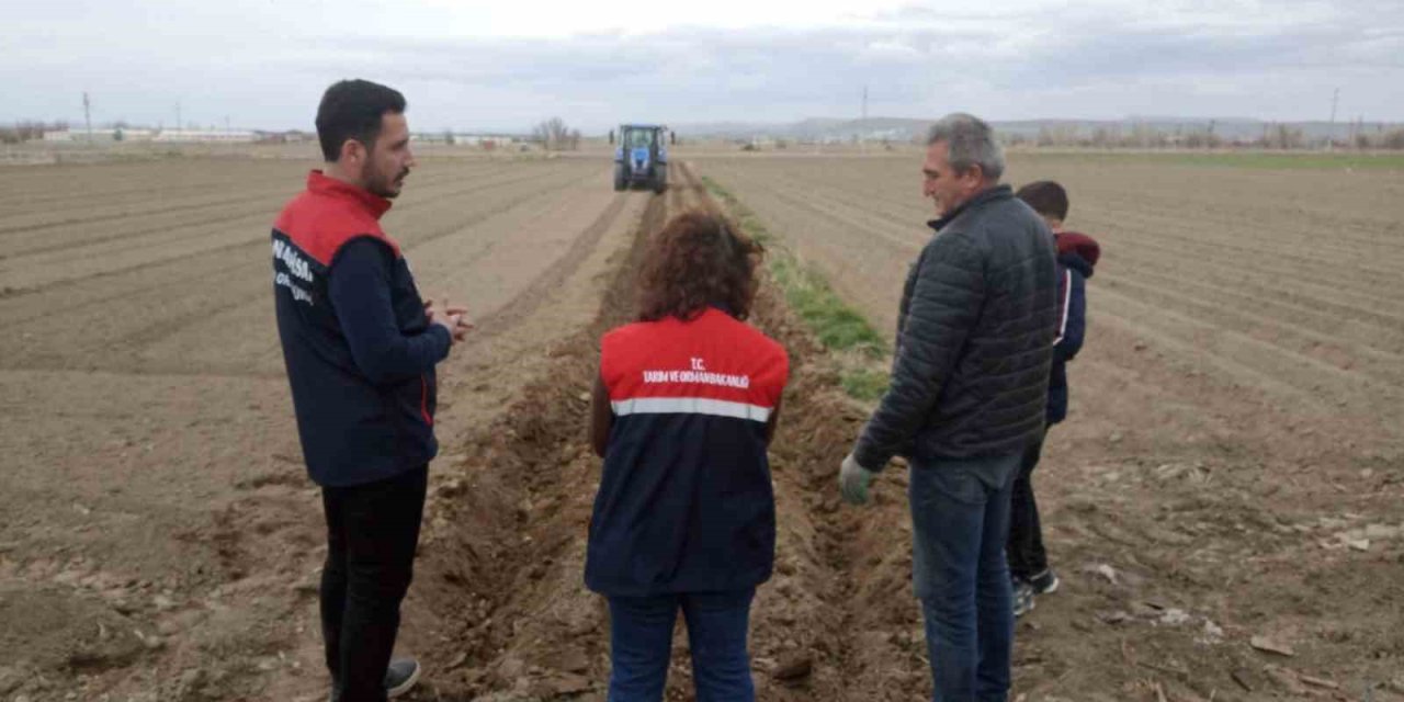 Patates ekimi sezonu başladı