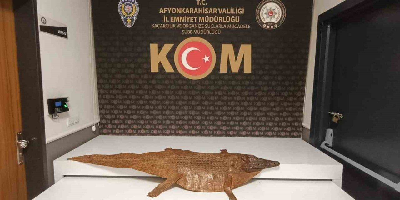 Polis durdurduğu araçta timsah derisi ele geçirdi