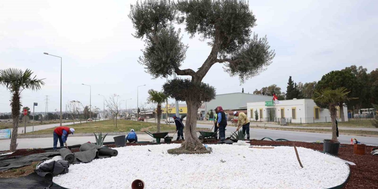 Didim Belediyesi, Didim’e çıkan yolları güzelleştirdi