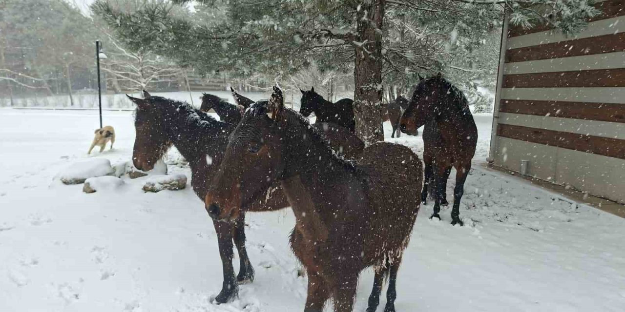 Bayramda Spil’e kar sürprizi