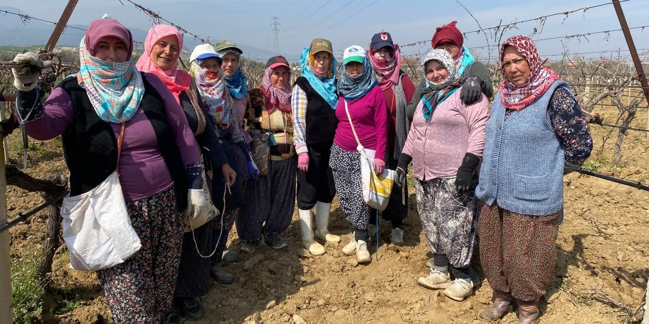 Yağışa teslim olan bağlar ayağa kalktı