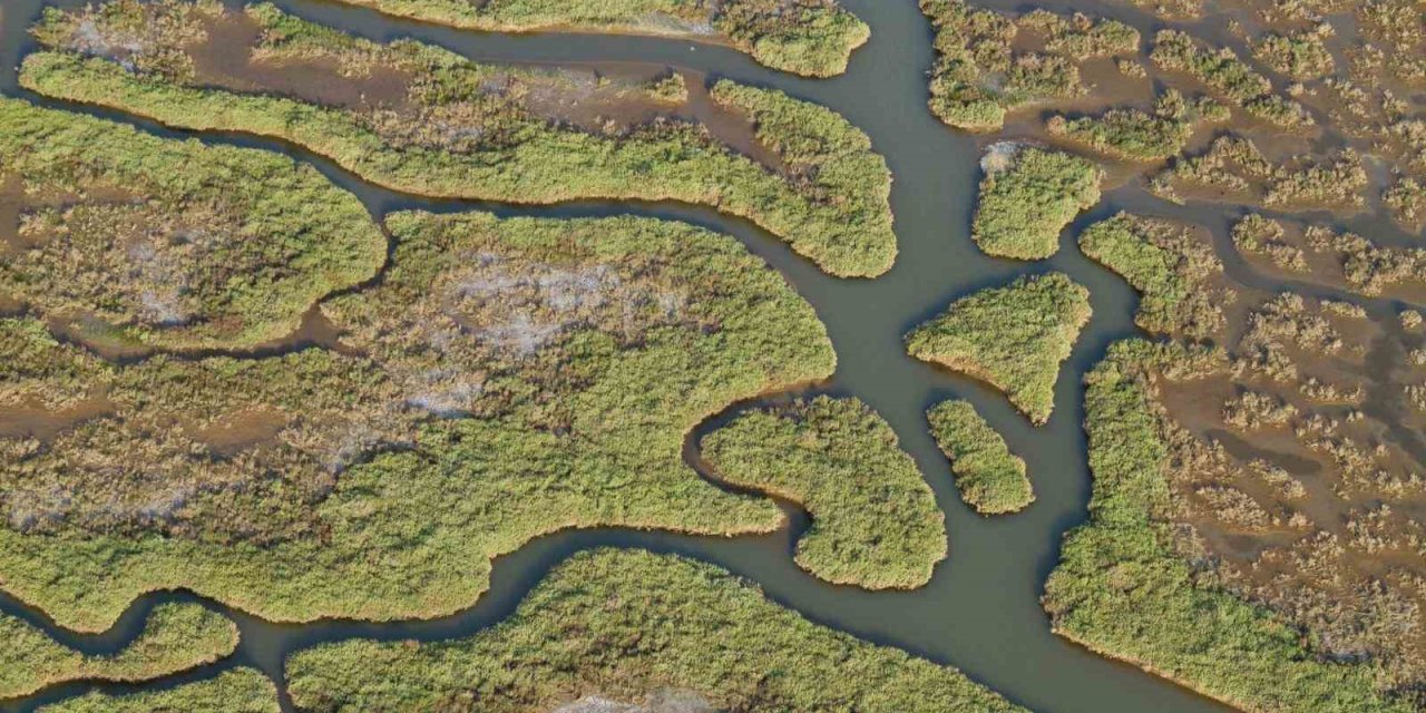 Gediz Nehri mercek altında