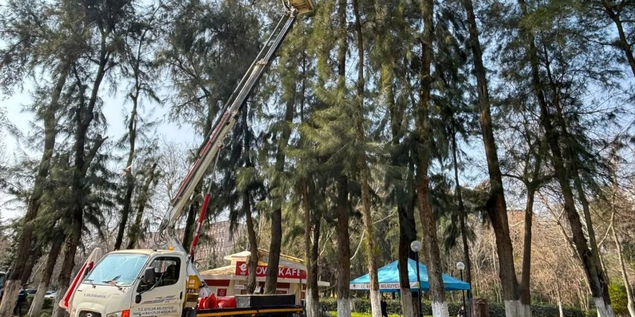 Efeler’de Pınarbaşı Mesire Alanı bakıma alındı