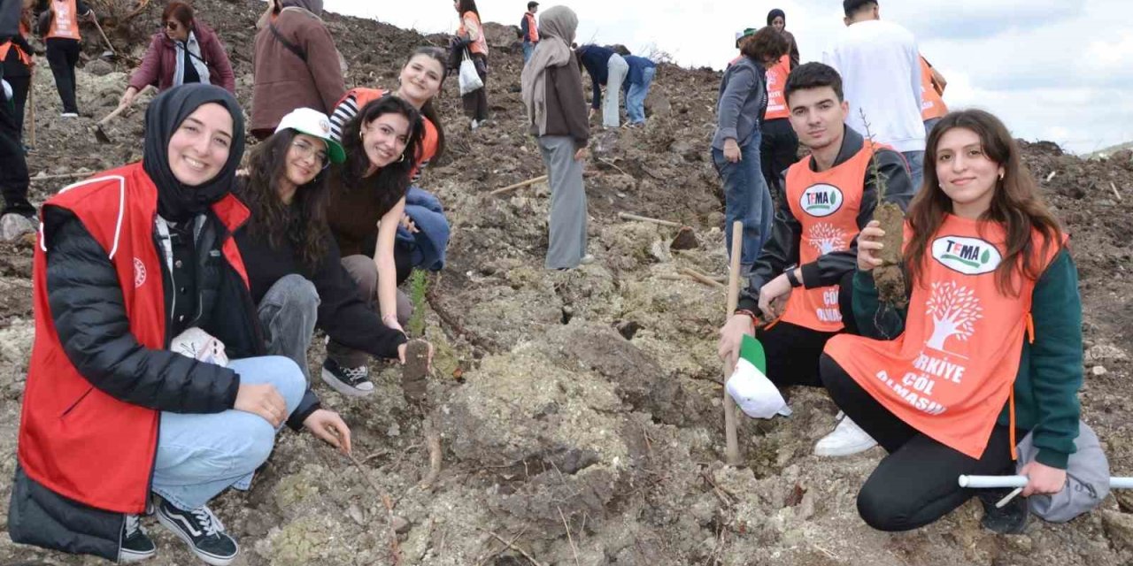 Manisa’da yanan alanlar yeniden yeşeriyor