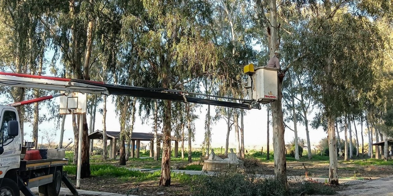 Tepecik Mesire Alanı yenileniyor