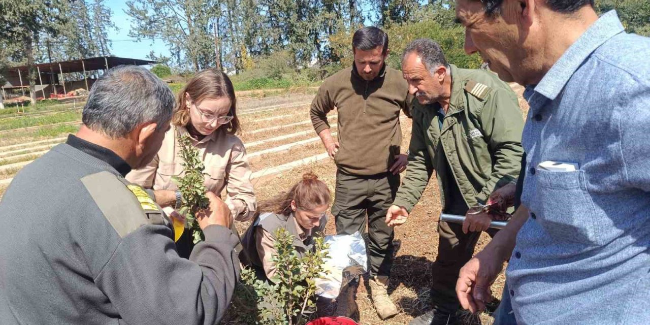 İzmir’in damla sakızı KKTC’de toprakla buluştu