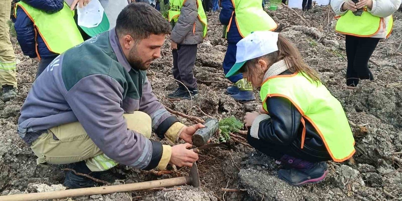 Yanan sahada geleceğe nefes: Aliağa’da yeni orman için ilk fidanlar dikildi
