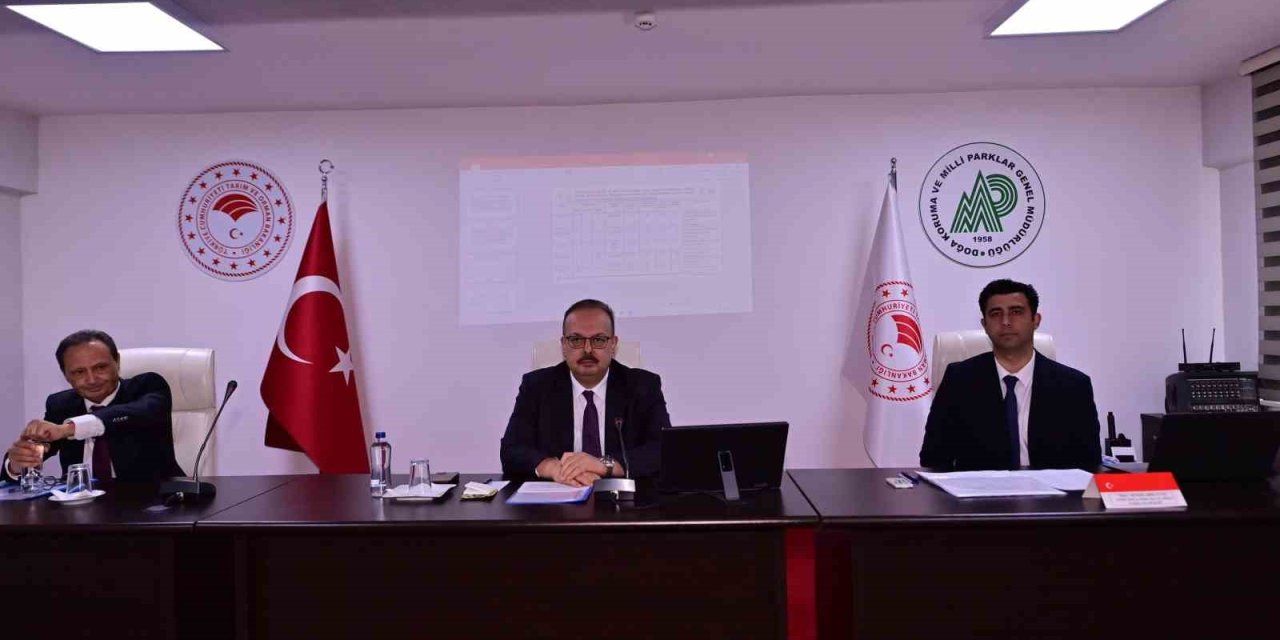 Aydın’da sahipsiz hayvanlara yönelik çalışmalar masaya yatırıldı