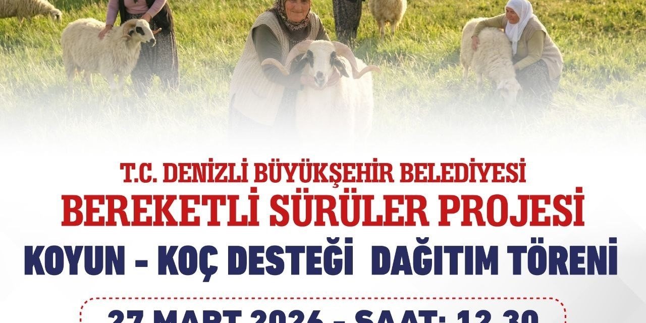 Denizli Büyükşehir 582 üreticiye 1200 adet koyun ve koç dağıtacak