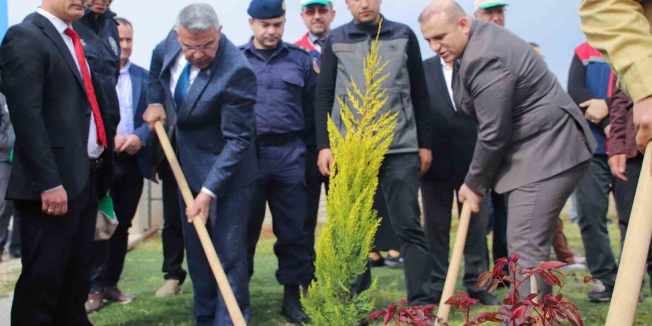 Köşk’te fidanlar toprakla buluştu