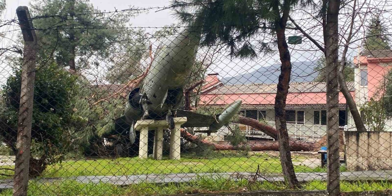 Üzerine ağaç düşen uçak zarar gördü