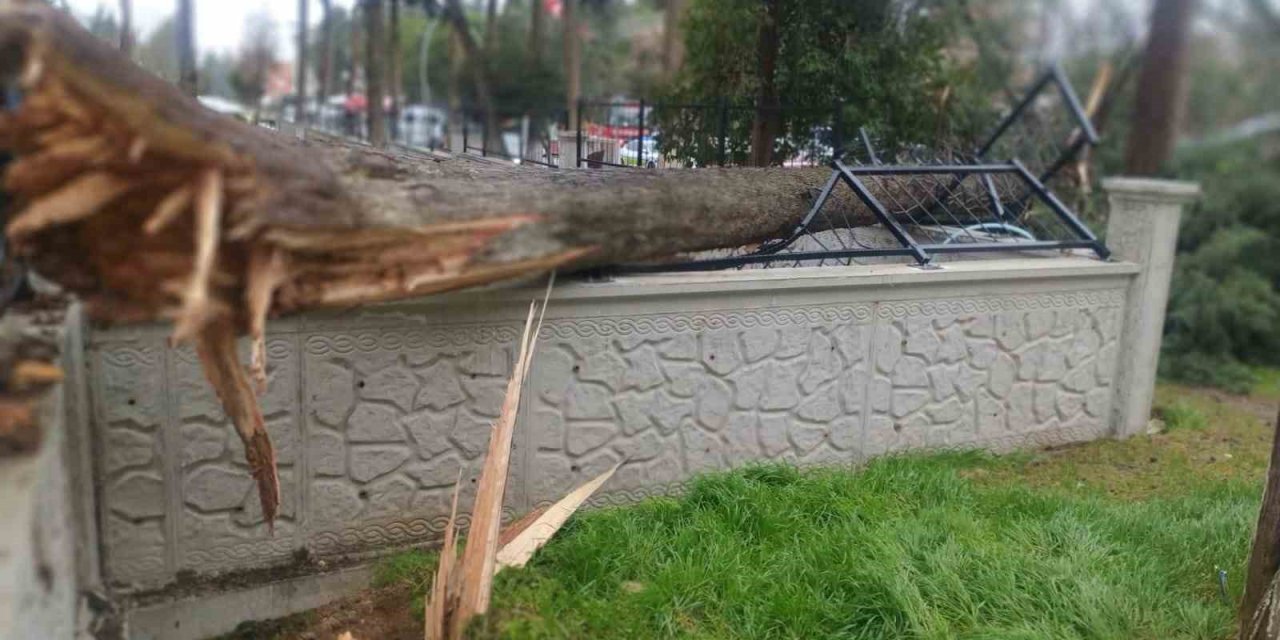 Fırtına Tavas’ta hayatı felç etti