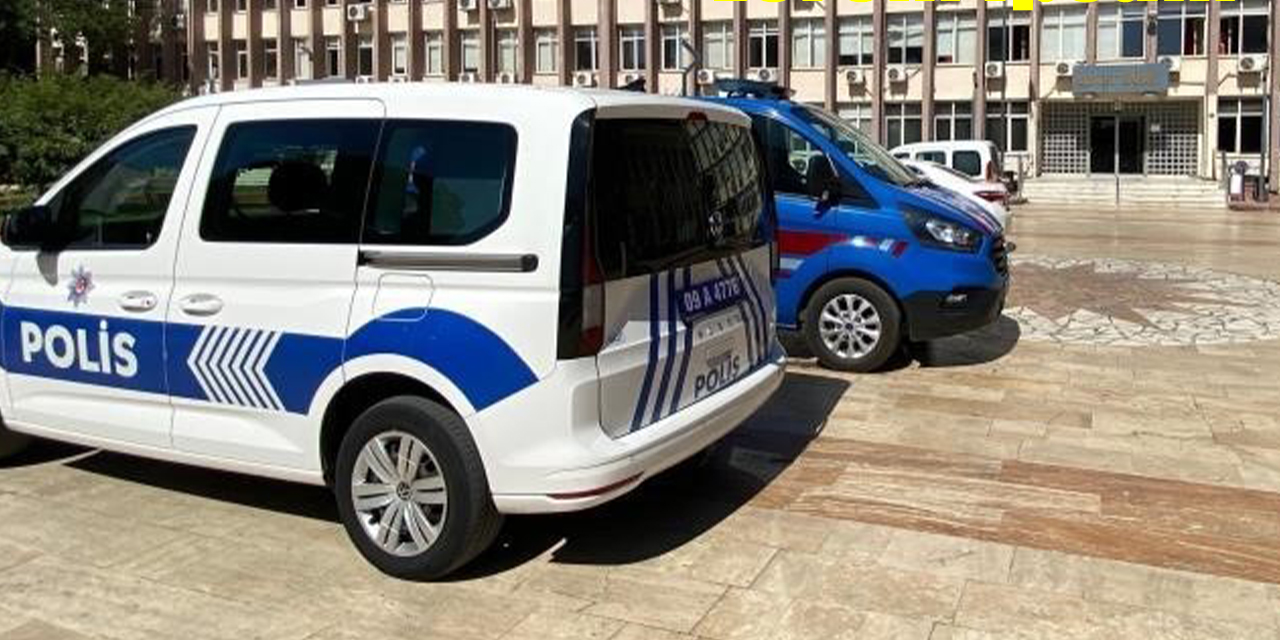 Koçarlı’da ağaç katliamına gözaltı: Bir şüpheli yakalandı