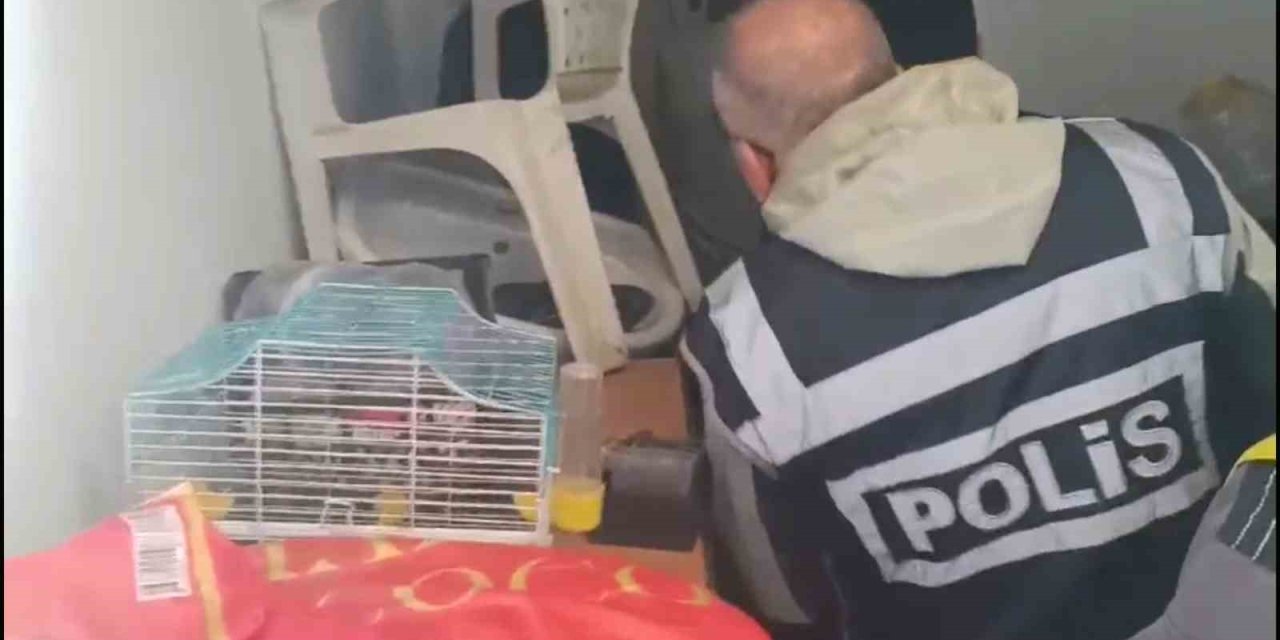 Yabancı turistlerin kredi kartlarını kötü amaçlı kullanan 4 şüpheli yakalandı