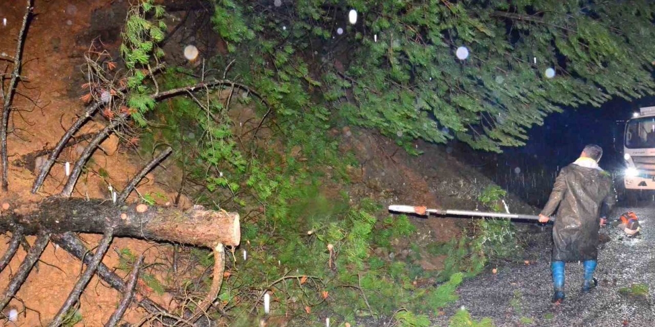 Yağış ağaçları devirdi, yol kısa sürede açıldı