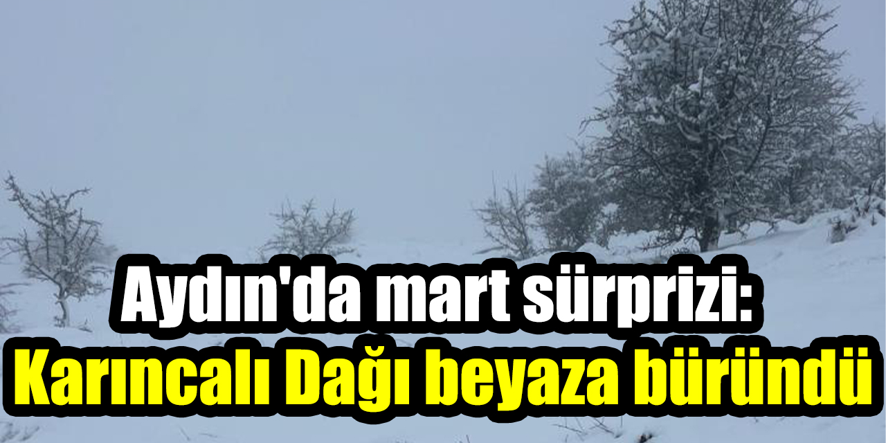 Aydın'da mart sürprizi: Karıncalı Dağı beyaza büründü