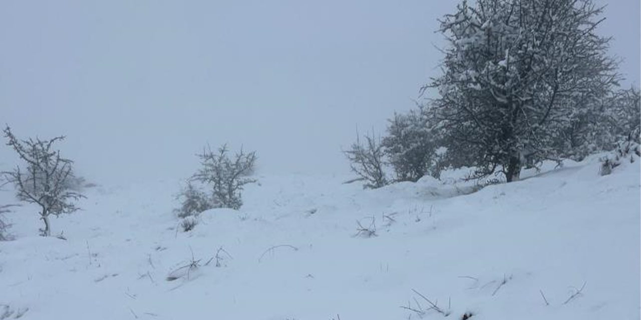 Aydın'da mart sürprizi: Karıncalı Dağı beyaza büründü