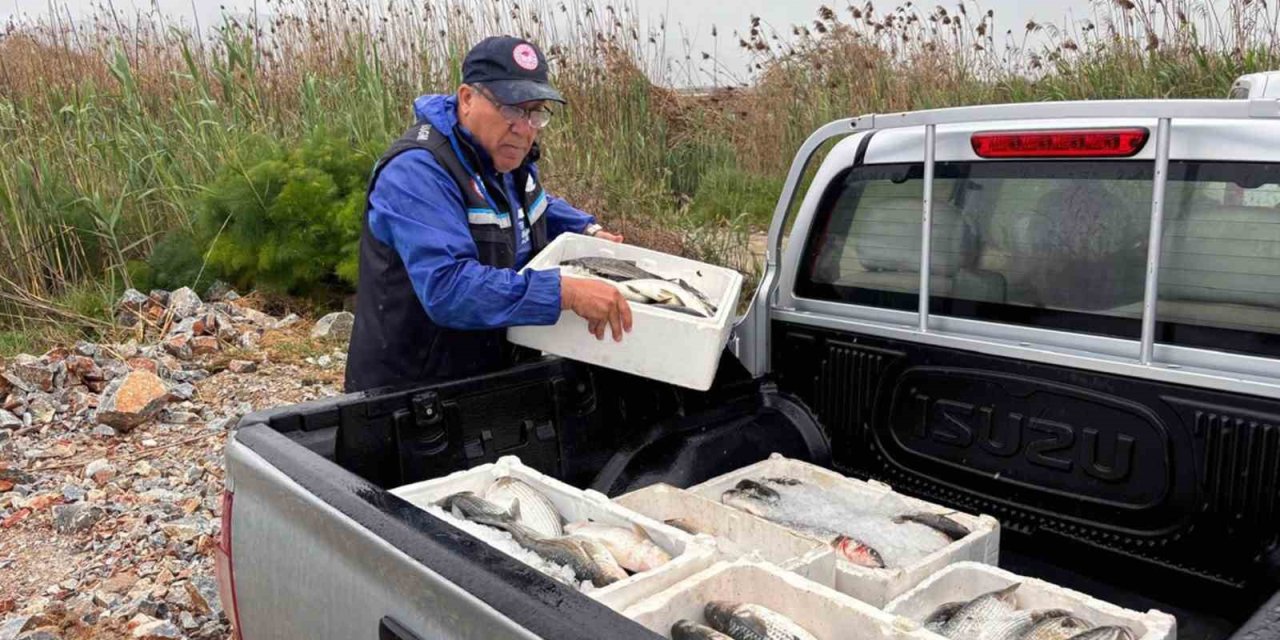 Milas’ta kaçak avcılığa geçit yok: 80 kilo kefal balığına el konuldu