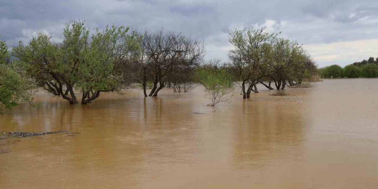Sağanak yağış Menderes Nehri’ni taşırdı