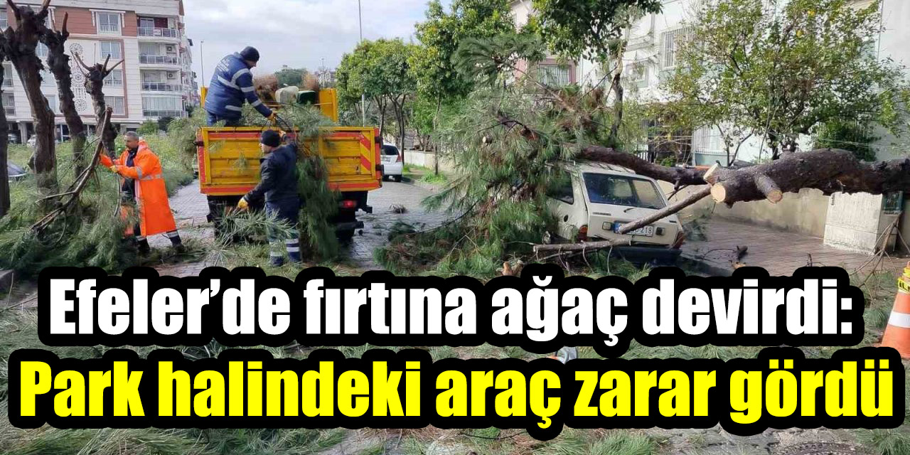Efeler’de fırtına ağaç devirdi: Park halindeki araç zarar gördü