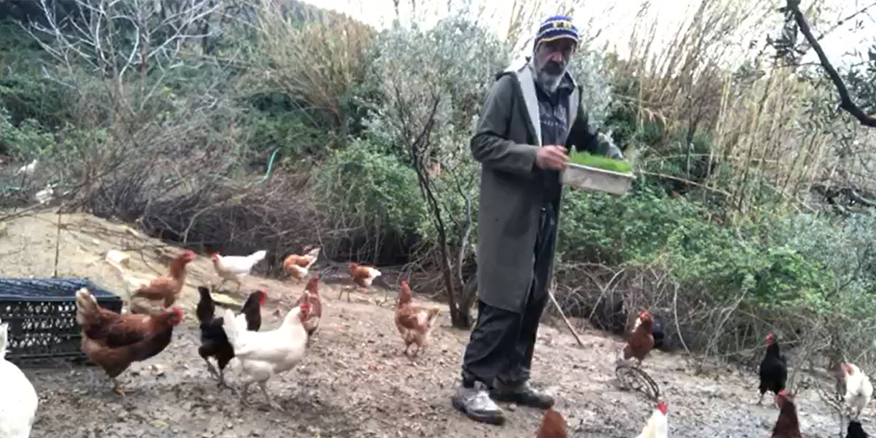 Aydın'da doğal yaşamın hikâyesi: Ümit Nektar’dan “Columbus” yumurtası