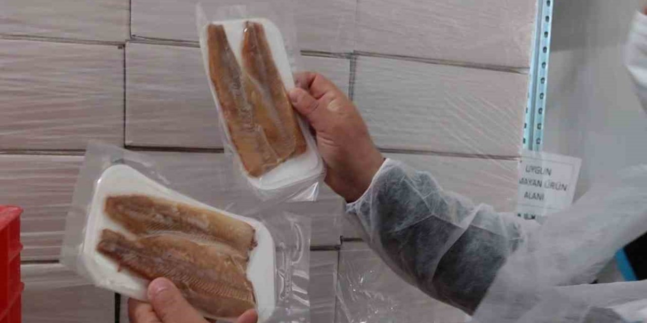 Su ürünleri üretimi yapılan tesislerde denetim