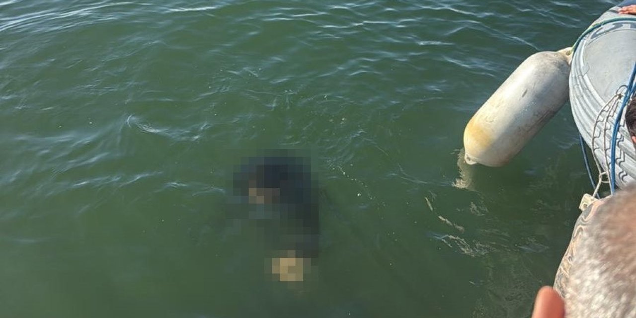 Akülü tekerlekli sandalyesiyle denize düşen kişi kurtarılamadı