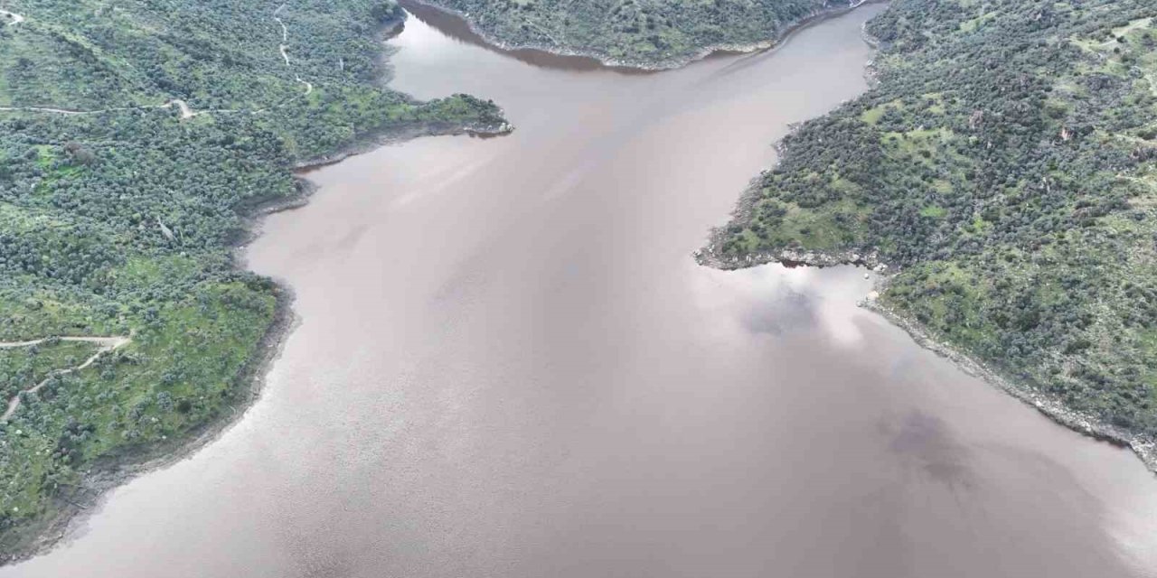 Aydın’da yağmurlar bereket getirdi, barajlar canlandı