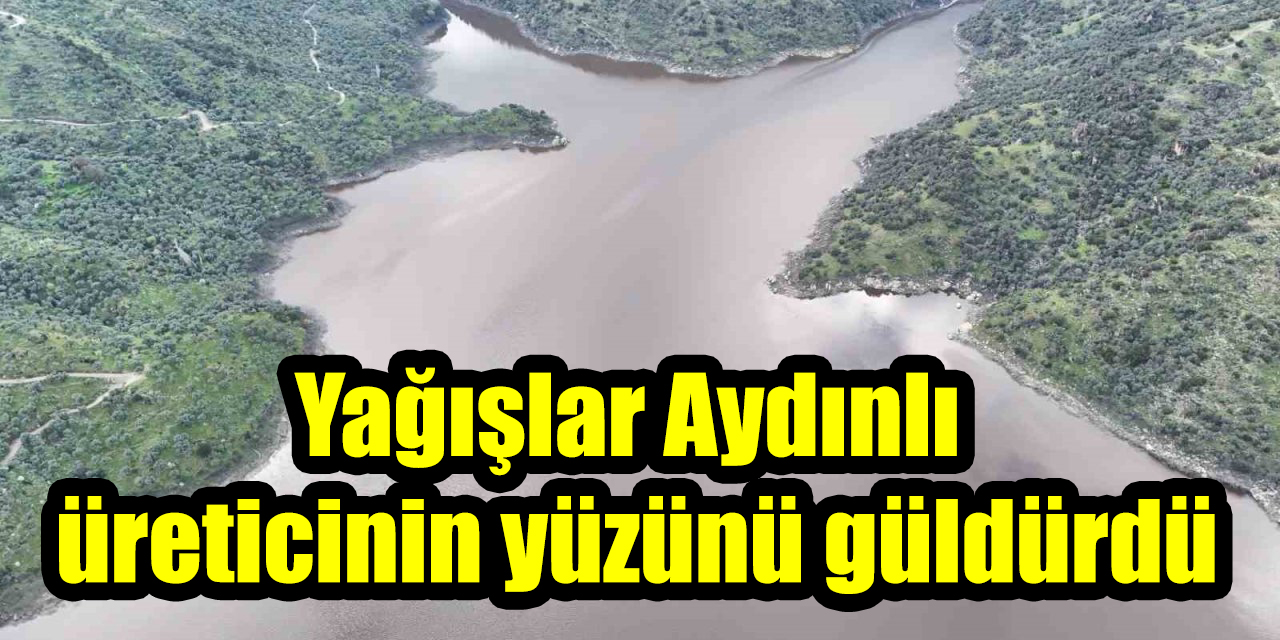 Yağışlar Aydınlı üreticinin yüzünü güldürdü
