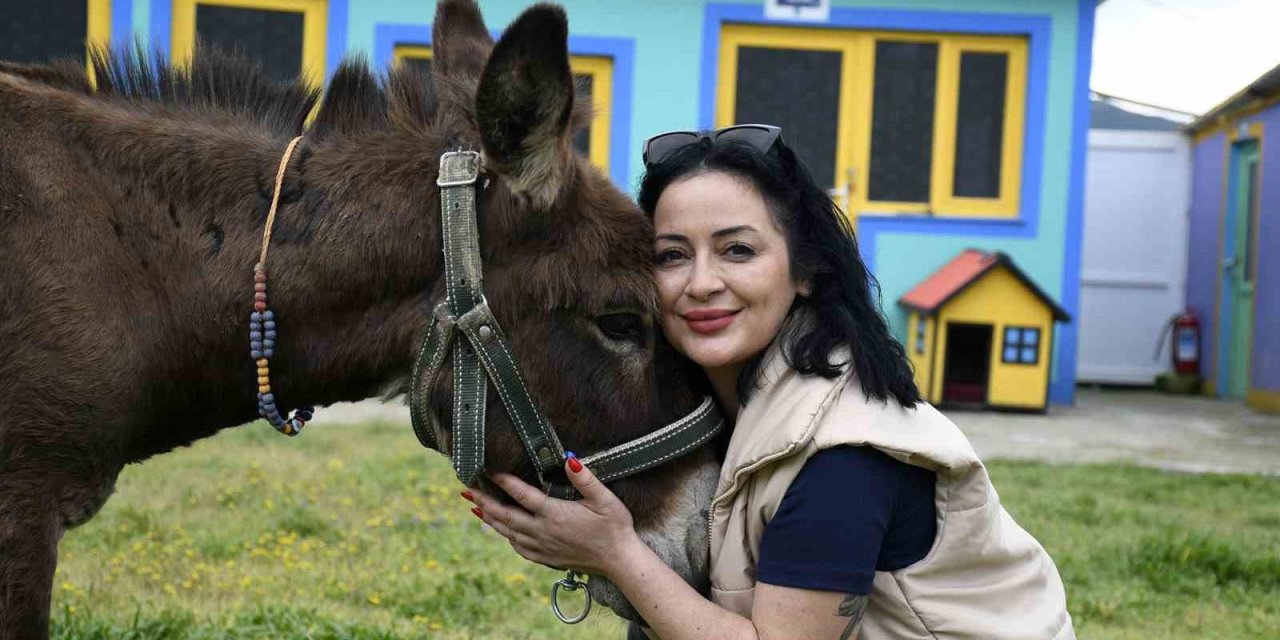 Kuşadası’ndan saplandığı çamurdan kurtarılan eşek koruma altına alındı