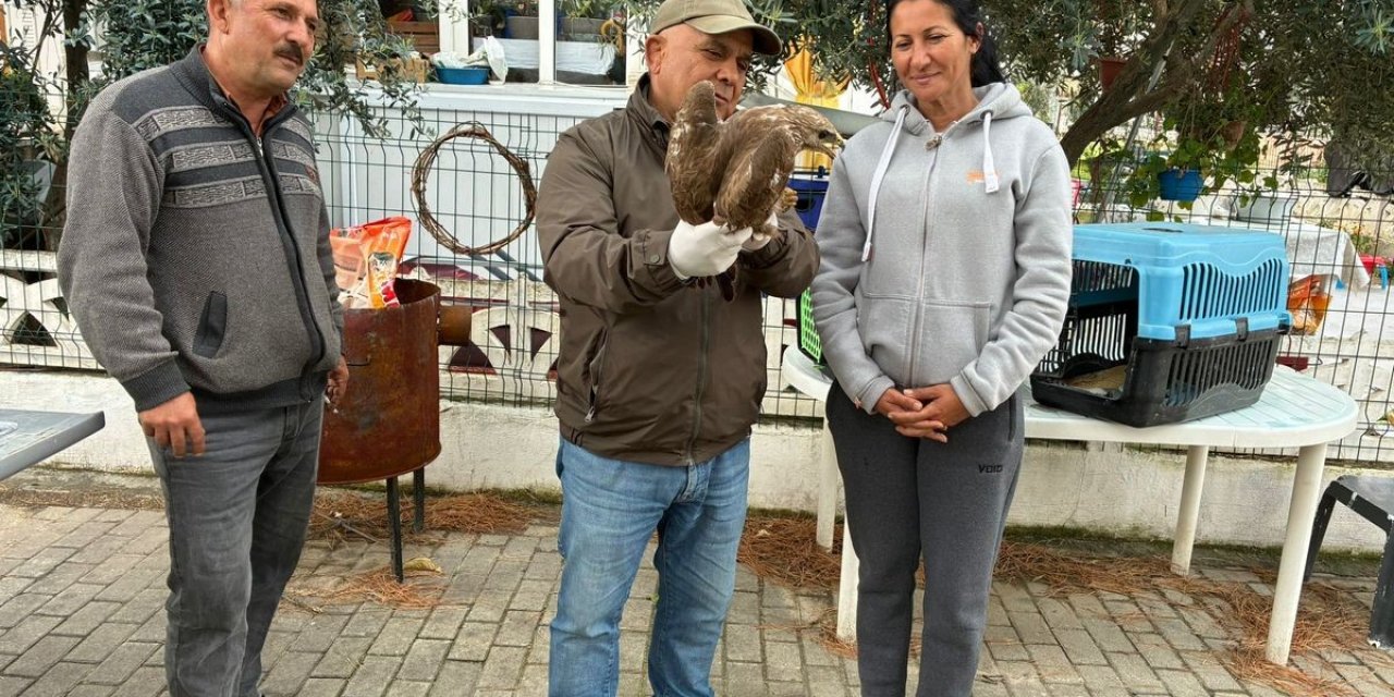 Kuşadası’nda yaralı şahin tedavisinin ardından doğaya bırakıldı