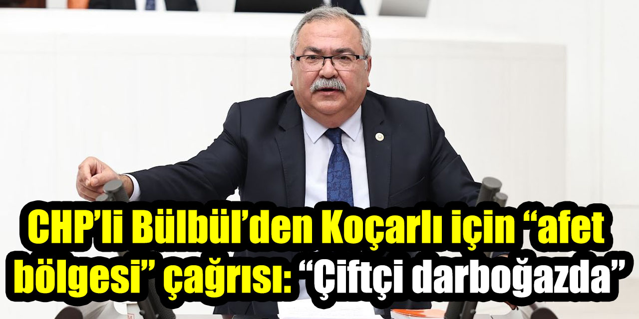 CHP’li Bülbül’den Koçarlı için “afet bölgesi” çağrısı: “Çiftçi darboğazda”