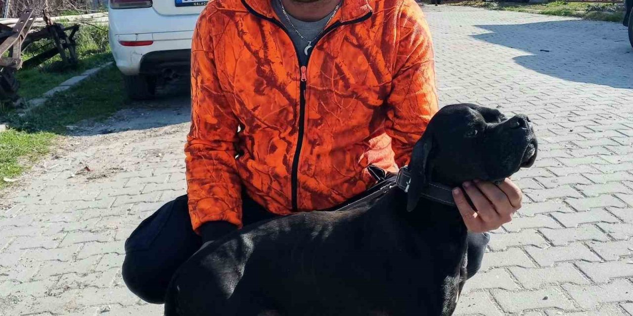 Çiğli’de arıtma tesisindeki çamur çukuruna araçla düşen işçi hayatını kaybetti