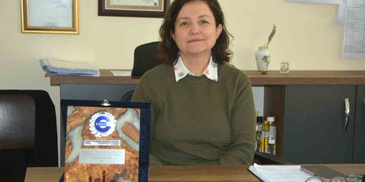 Egeli akademisyenin "Zeolit" projesi yerli sanayiye güç katacak