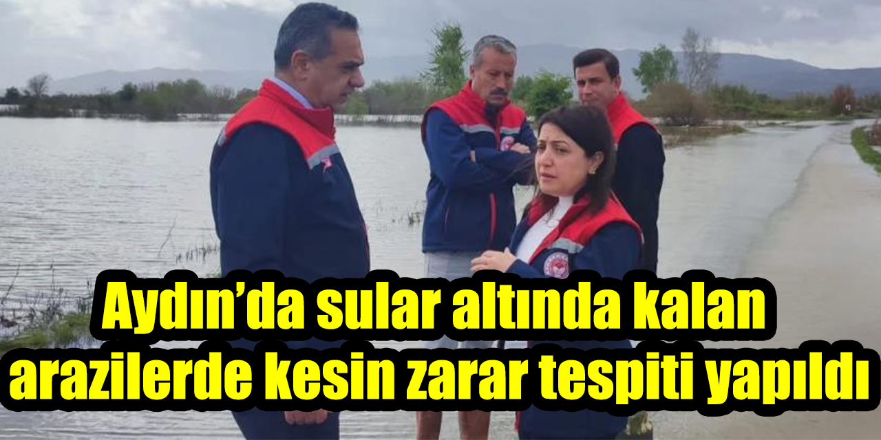 Aydın’da sular altında kalan arazilerde kesin zarar tespiti yapıldı
