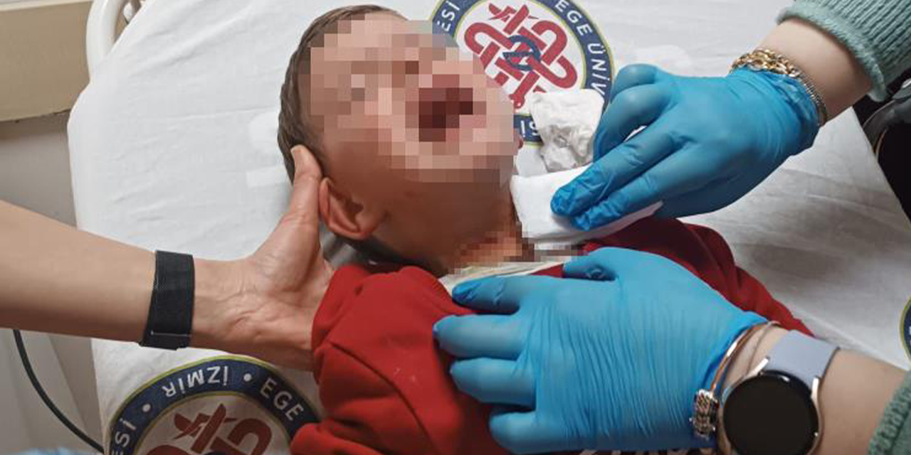 Parkta dehşet: 2 yaşındaki çocuğa bıçaklı saldırı