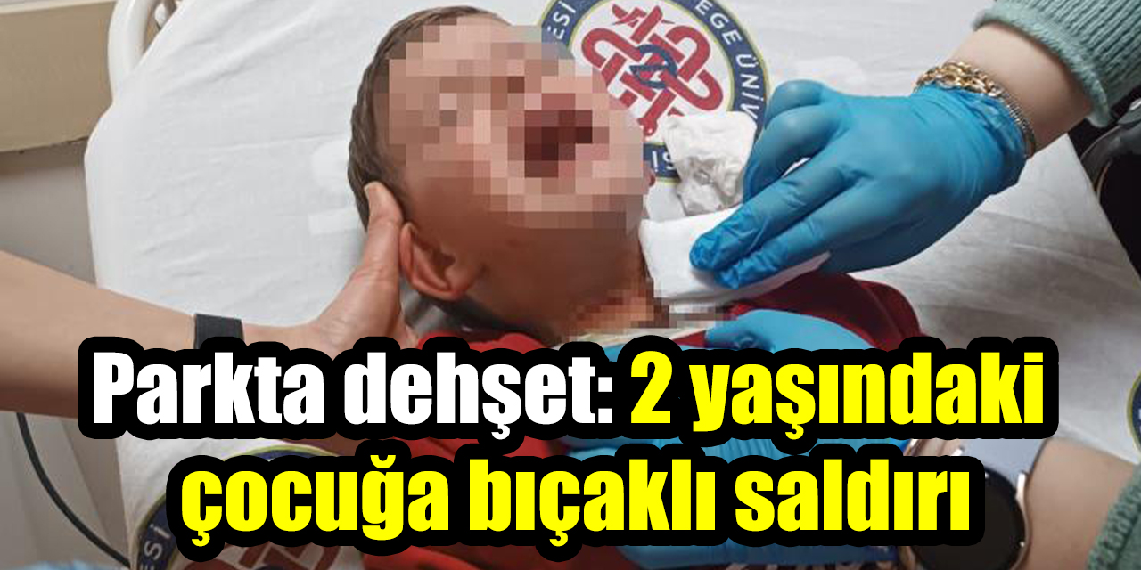 Parkta dehşet: 2 yaşındaki çocuğa bıçaklı saldırı